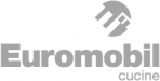 Logo Euromobil – rivenditore a Poggibonsi